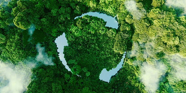 Luftaufnahme eines grünen Waldes als Symbol für umweltgerechtes Recycling elektronischer Preisschilder
