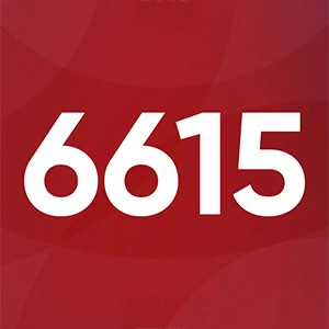 6.615 Minuten Mentale Gesundheit